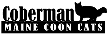 Coberman Maine Coon Cats Logo